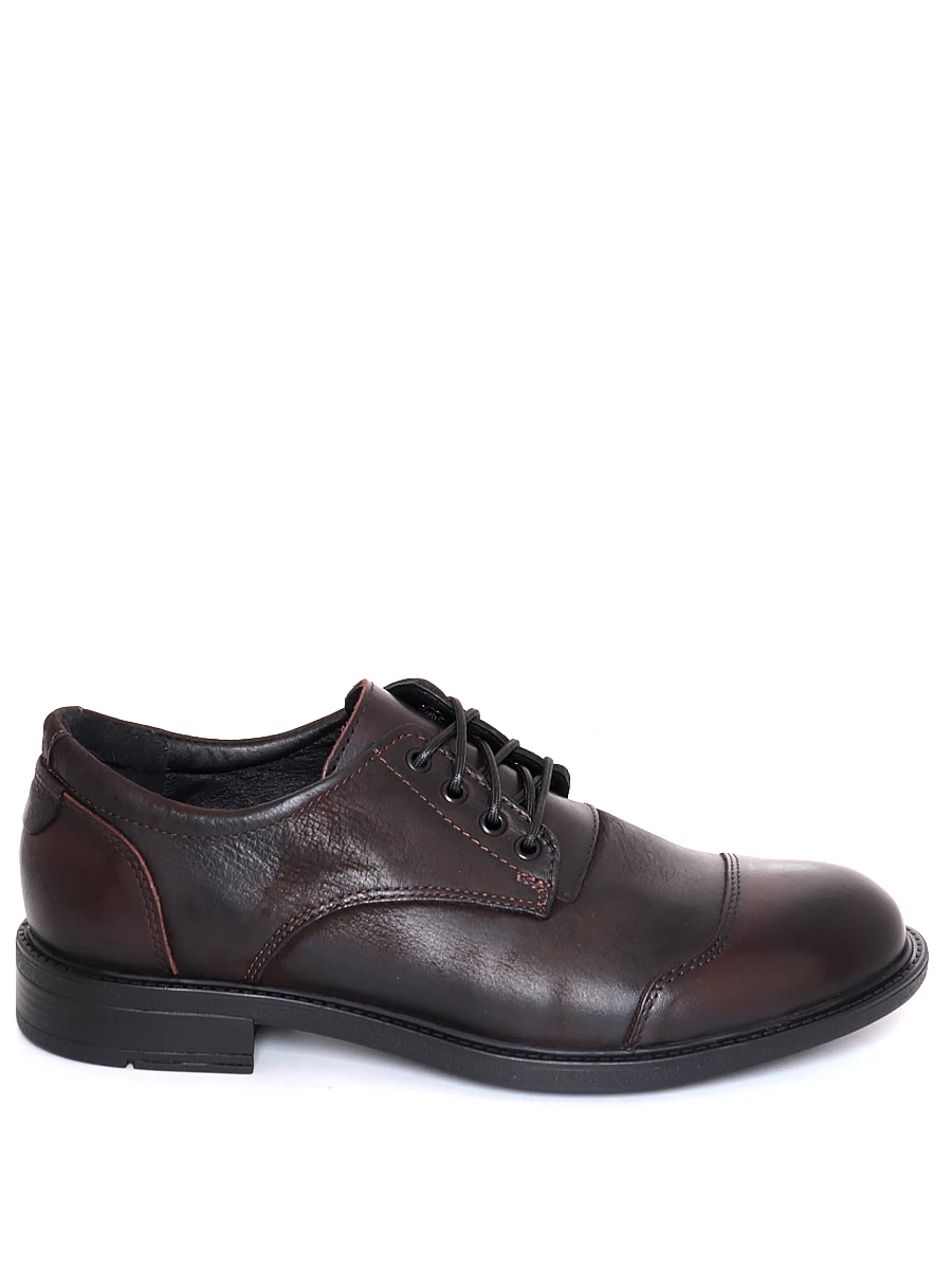 Туфли Тофа мужские демисезонные, цвет коричневый, артикул 219386-8