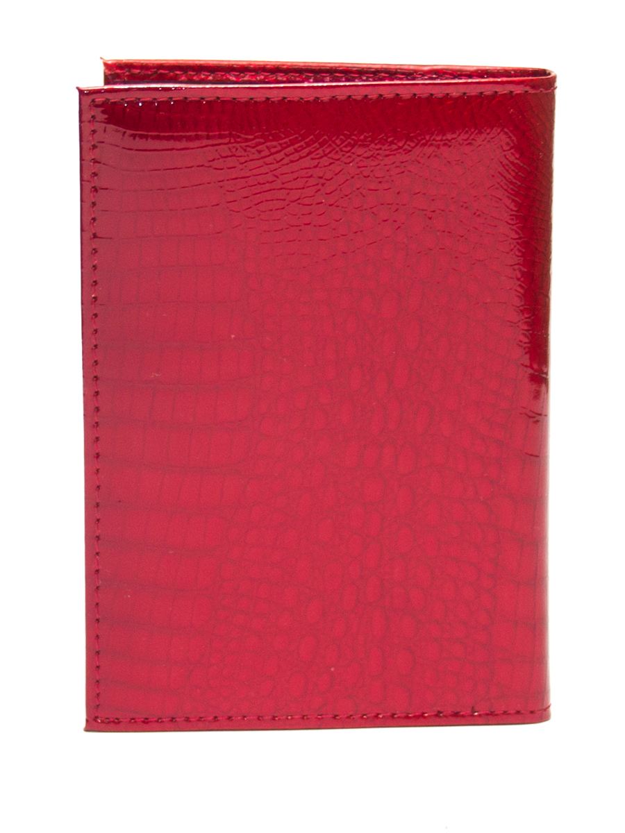 Обложка Ego для паспорта, цвет красный, артикул 03-0149-1 - фото 2