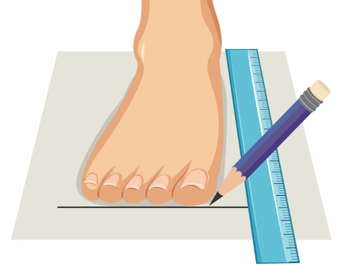 Как правильно определить размер и полноту ноги — интернет-магазин Sno-ufa.ru